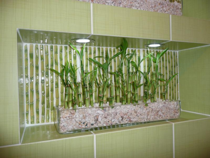 Miejskie szuwary, zdjęcie 4