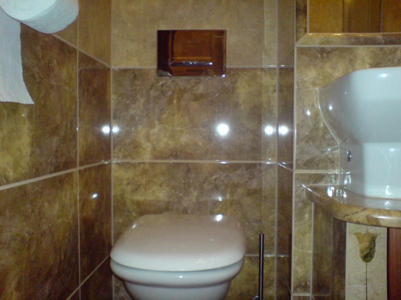 ZŁOTA BRZOZA, zdjęcie 1