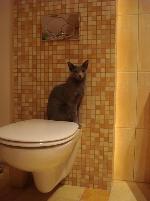 Łazienka w stylu noweczesnym, zdjęcie 2