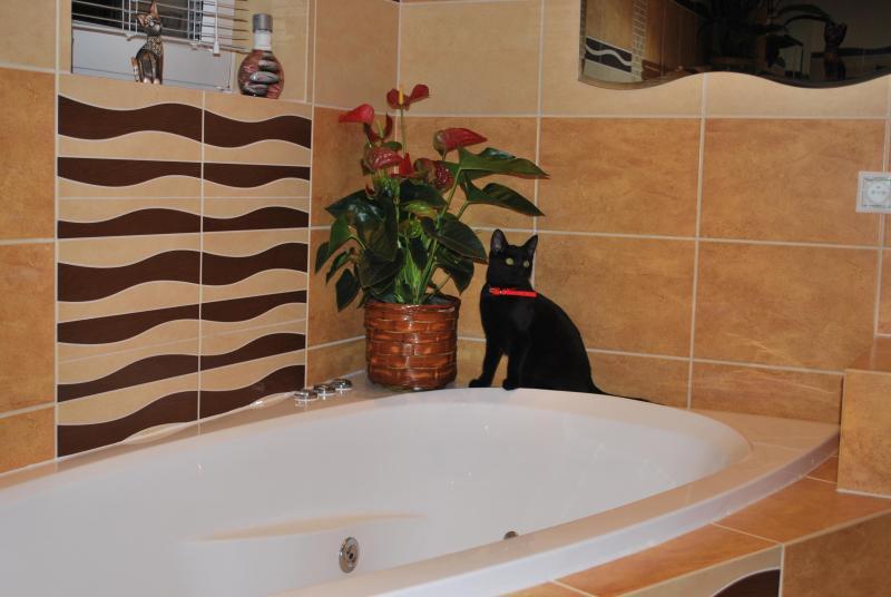 Moja łazienka :), zdjęcie 13