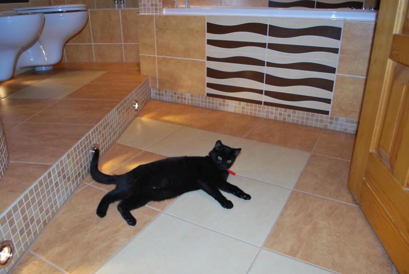 Moja łazienka :), zdjęcie 9