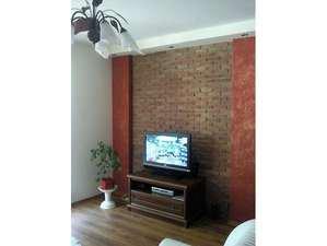 przytulisko, zdjęcie 2