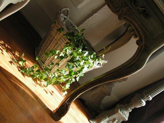 taki tam moj dom, zdjęcie 11