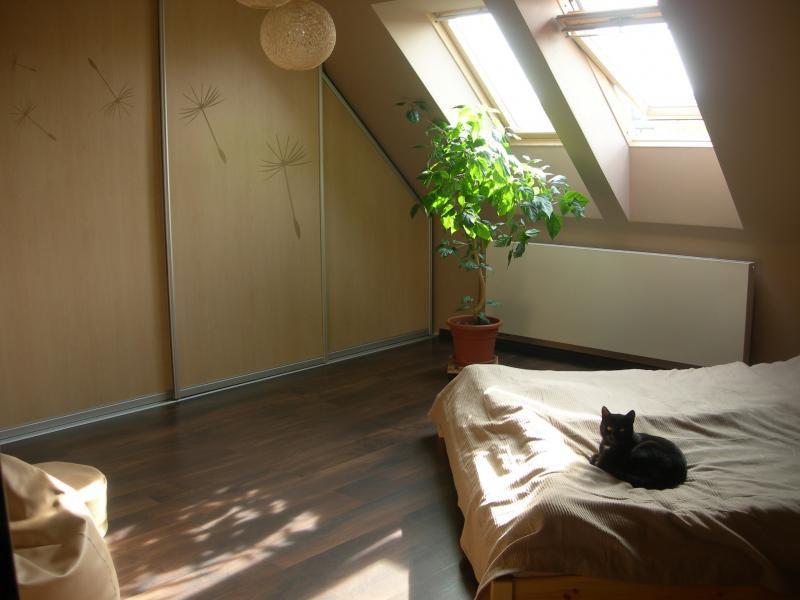 Z czarnym dodatkiem, zdjęcie 1