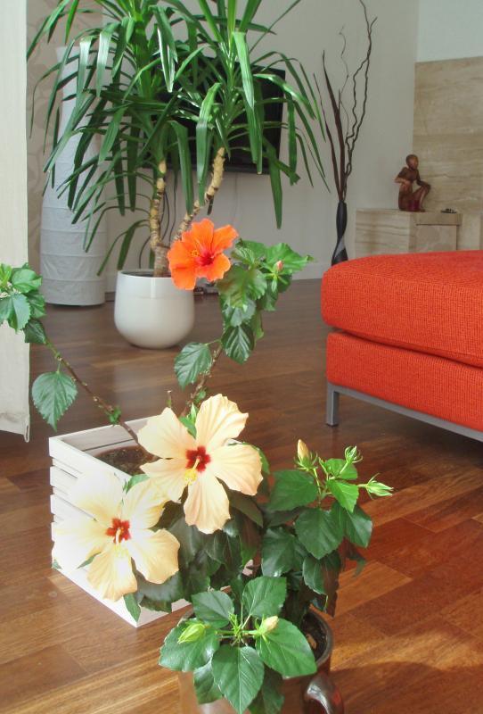 Konkurs: "Idealne wnętrze na zimę" , zdjęcie 6