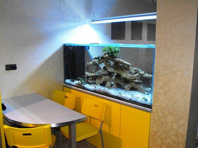 Żółciutka kuchnia, zdjęcie 3