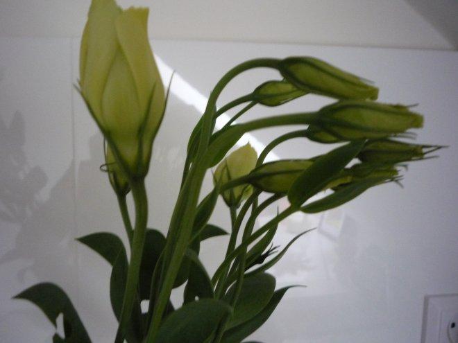 nasz kuchnia, zdjęcie 20