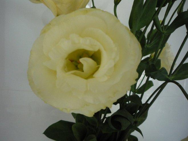 nasz kuchnia, zdjęcie 75