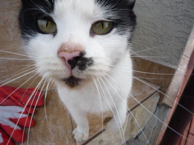 konkurs - nasz salon, zdjęcie 3