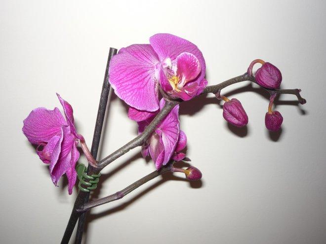 konkurs - nasz salon, zdjęcie 21