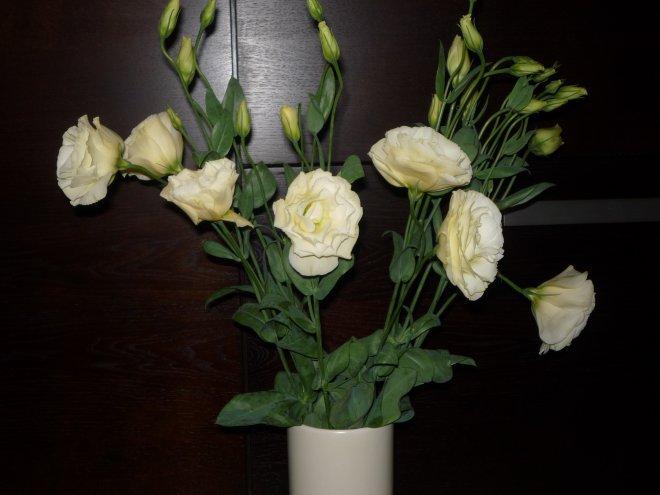 konkurs - nasz salon, zdjęcie 20