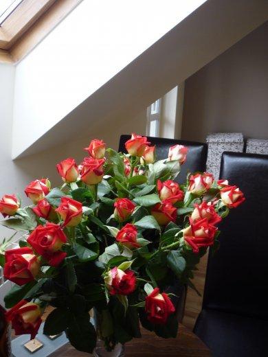 konkurs - nasz pokój, zdjęcie 1