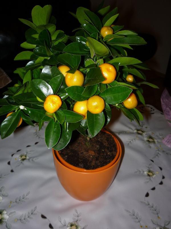 konkurs - nasze mieszkano jeszcze puste, zdjęcie 5