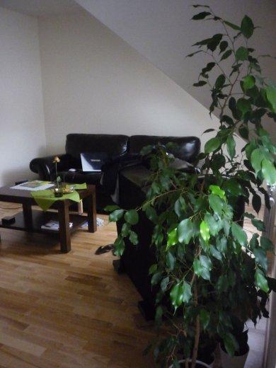 konkurs - nasze mieszkano jeszcze puste, zdjęcie 13