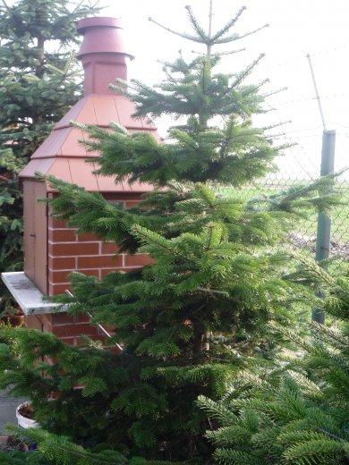 nasz dom i ogród, zdjęcie 9