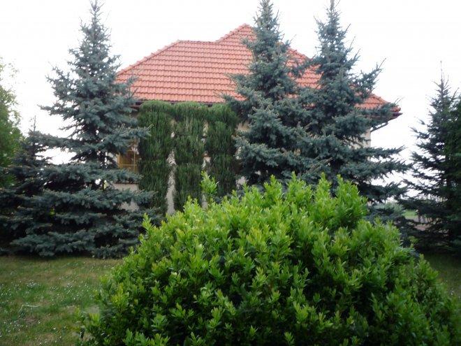 nasz dom i ogród, zdjęcie 7