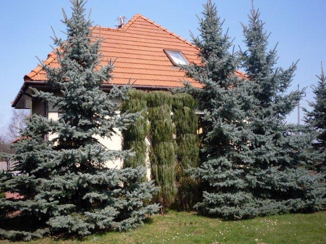 nasz dom i ogród, zdjęcie 3