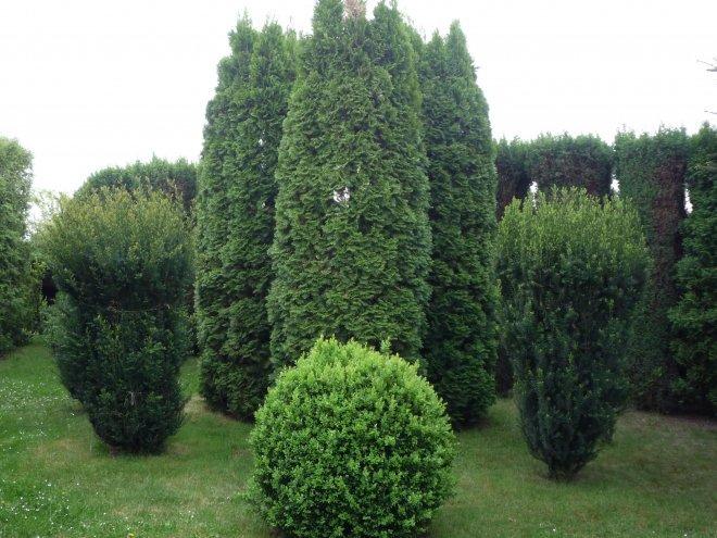 nasz dom i ogród, zdjęcie 1