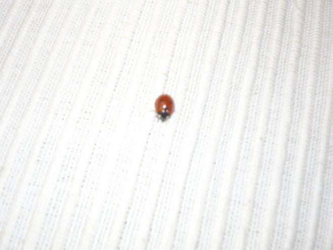 konkurs - nasza sypialnia, zdjęcie 18