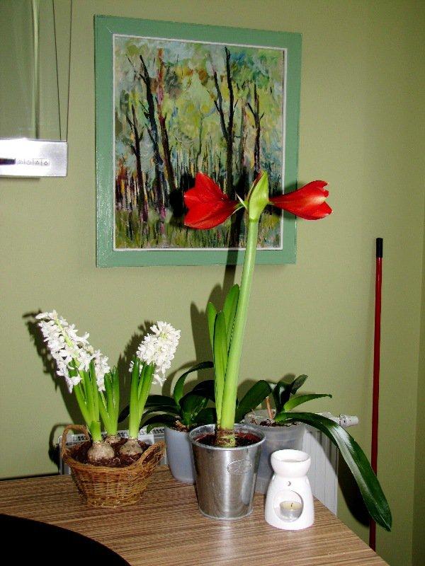 Zielono i wiosennie, zdjęcie 2