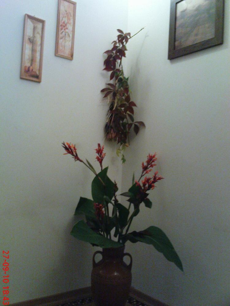 Jesienna herbatka ..