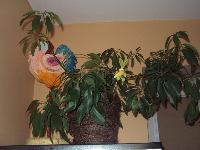 Kuchnia w barwach jesieni