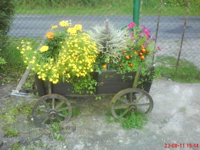 ogródek przy domu mojej narzeczonej