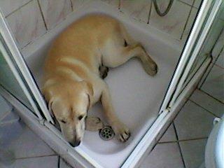 Konkurs-jego cztery kąty