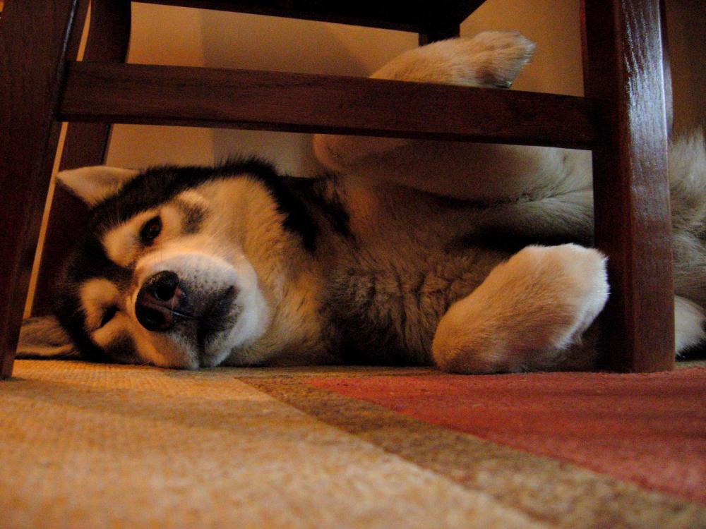 W domu najwygodniej :)