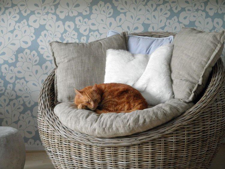 "Zwierzak w moim domu" - inspiracje