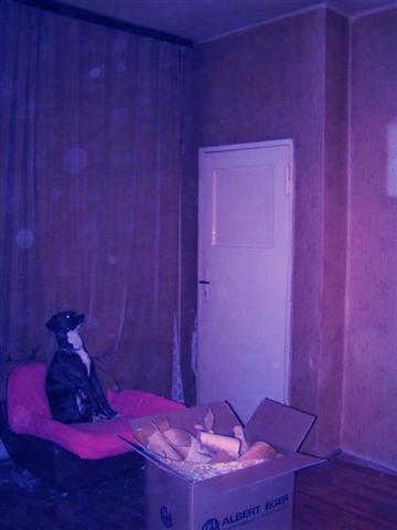 zwierzę w moim domu - konkurs