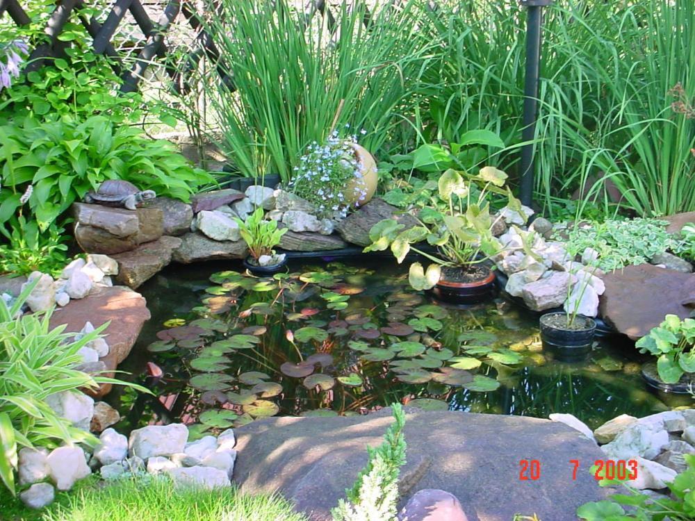 Pamiętajmy o ogrodach...