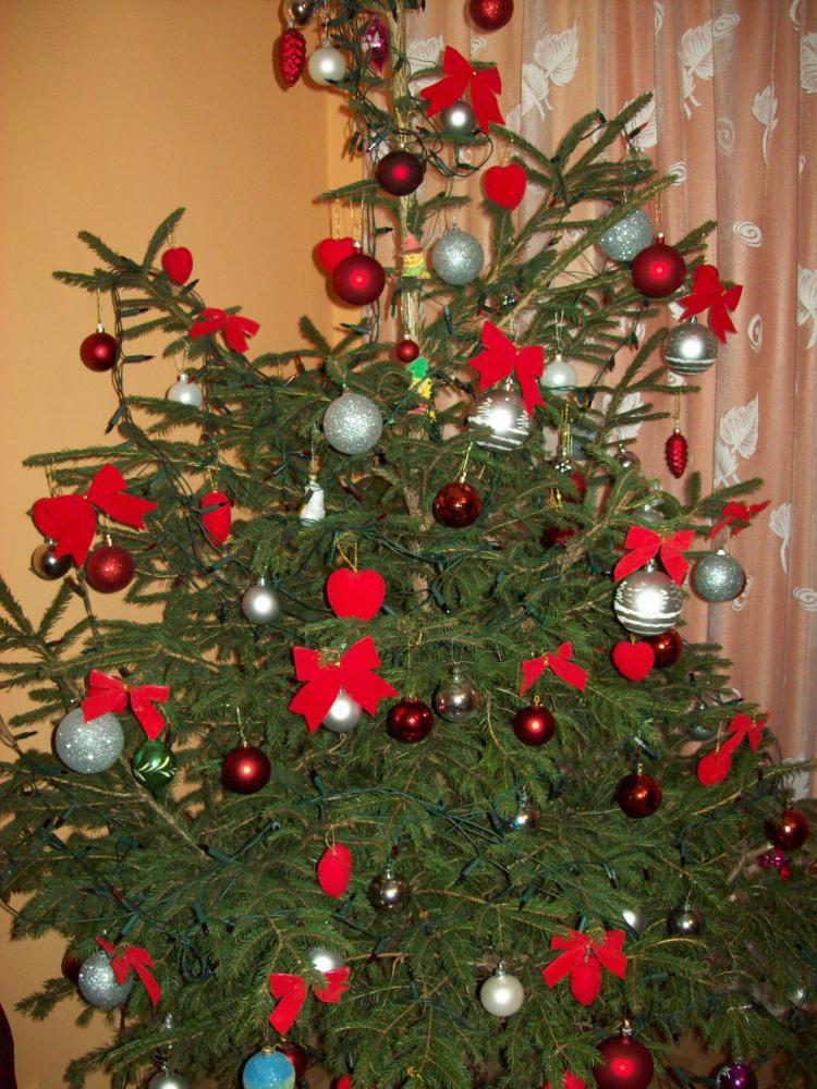 Choinka w pokoju mamusi