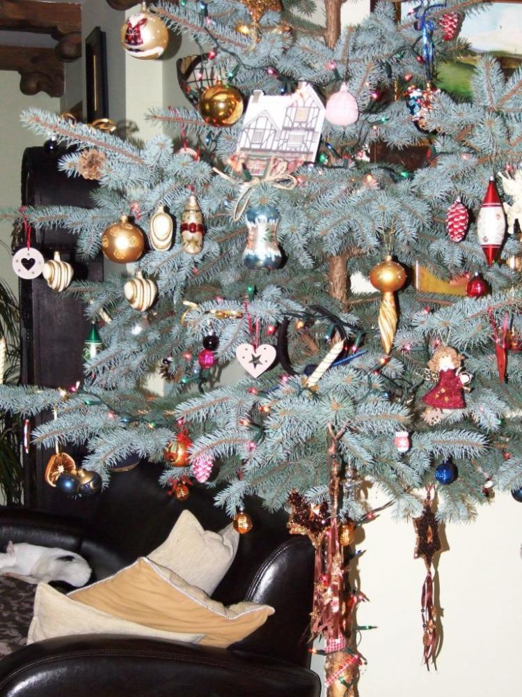 W moim magicznym domu - konkurs