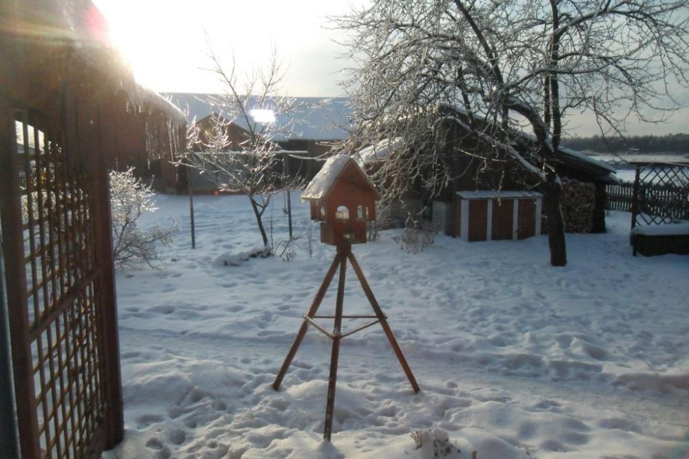 Zima w ogrodzie
