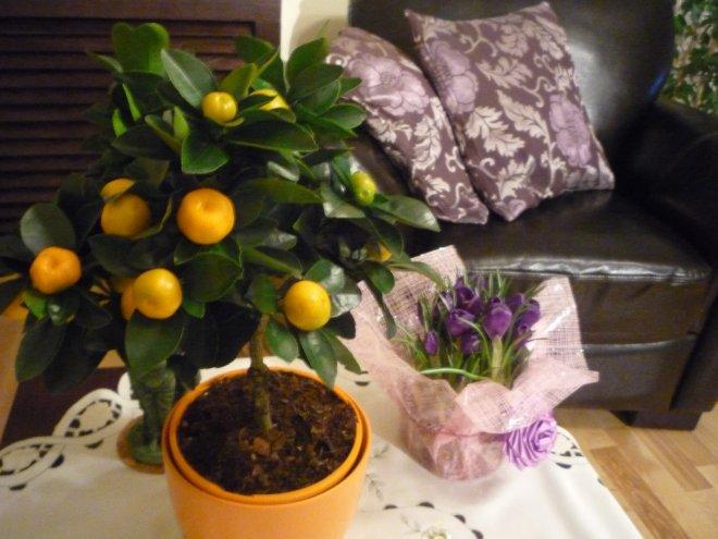 konkurs - nasz salon