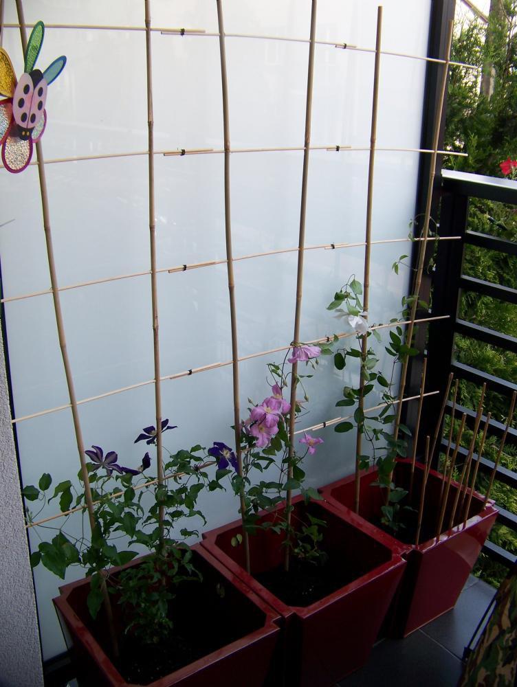 Balkon latem, zdjęcie 1