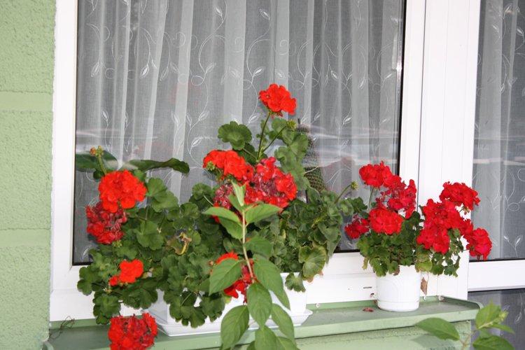 taras w kamieniach...