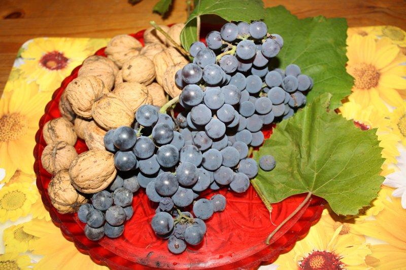 salon i kuchnia z jesienią 