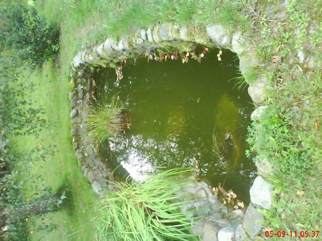 ogródek przy domu moich znajomych część druga