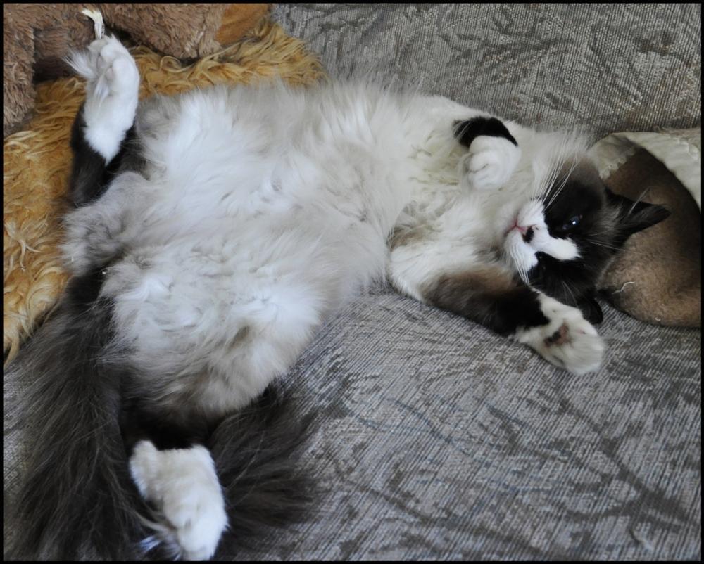 Urodzinowy konkurs Dekordia.pl !