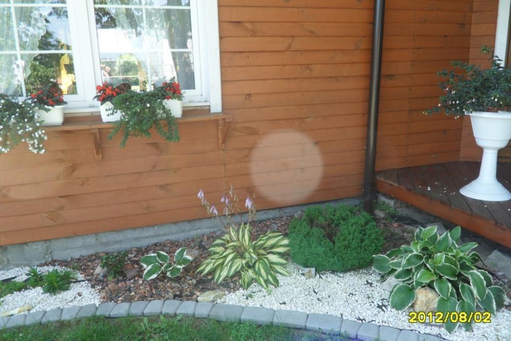 Duży ogród z domem drewnianym