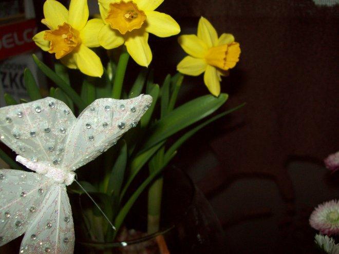 Kompozycja wiosenna- moje dzieło