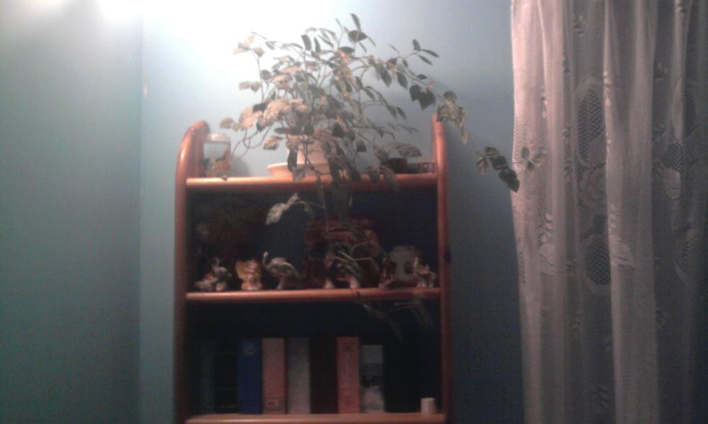 kwiateczek i półeczka