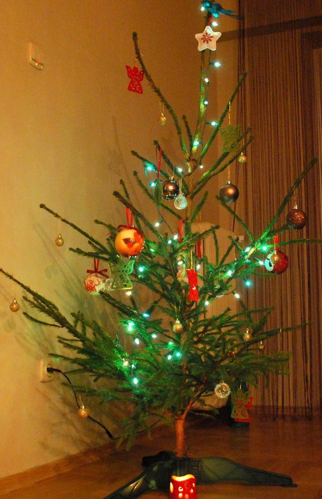 W moim magicznym domu-Święta w moim domu...