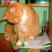 Konkurs-Zwierzak w moim domu-koty, zdjęcie 41