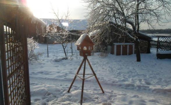 Zima w ogrodzie, zdjęcie 1
